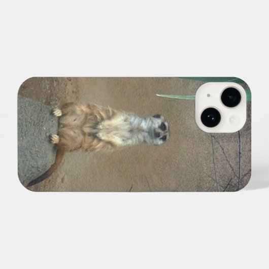 Meerkat iPhone Case iPhone Hülle (Rückseite (Horizontal))