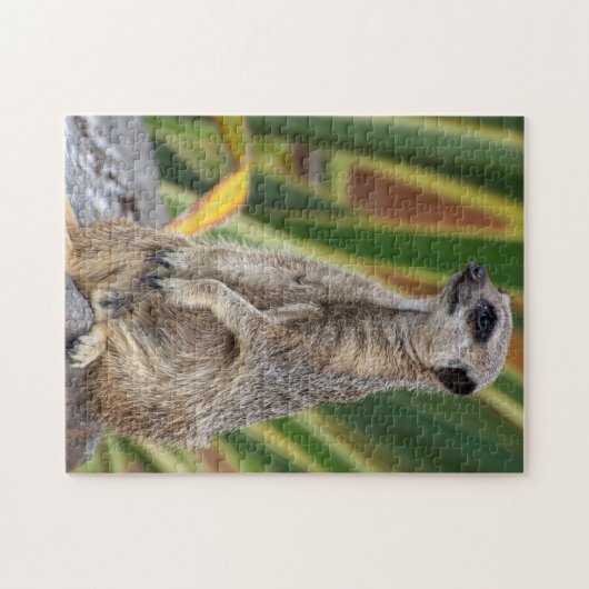 Meerkat Jigsaw Puzzle (Horizontal)