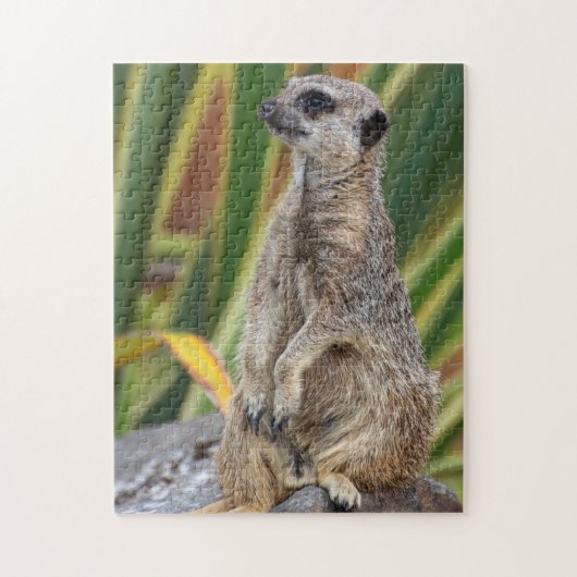 Meerkat Jigsaw Puzzle (Vertikal)