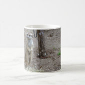 Meerkat Kaffeetasse (Mittel)