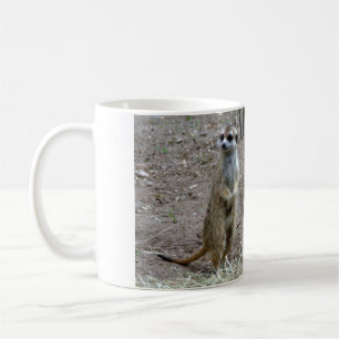 Meerkat Kaffeetasse