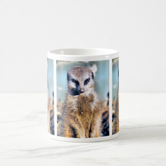 MEERKAT KAFFEETASSE (Mittel)