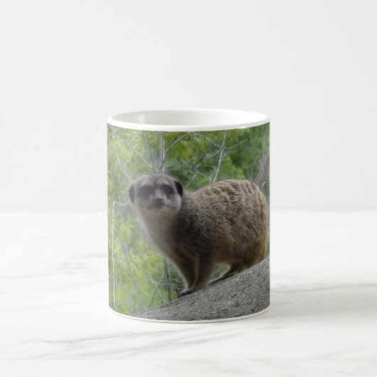 Meerkat Kaffeetasse