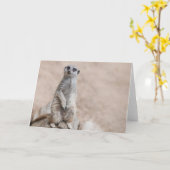 Meerkat Karte (Gelbe Blume)
