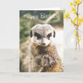 MEERKAT KARTE (Gelbe Blume)