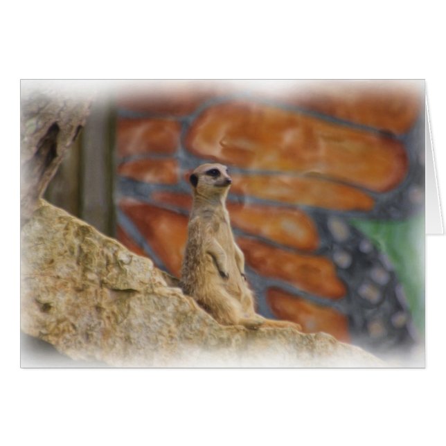 Meerkat Karte (Vorderseite (Horizontal))