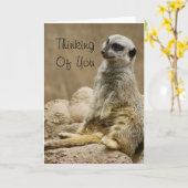 Meerkat Karte (Gelbe Blume)