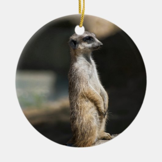 Meerkat Keramik Ornament (Vorne)