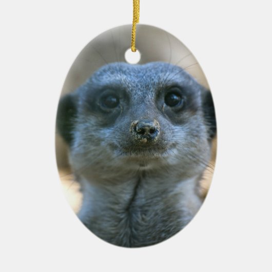 Meerkat Keramikornament (Vorne)