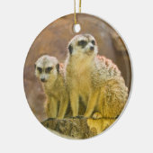 meerkat keramikornament (Links)