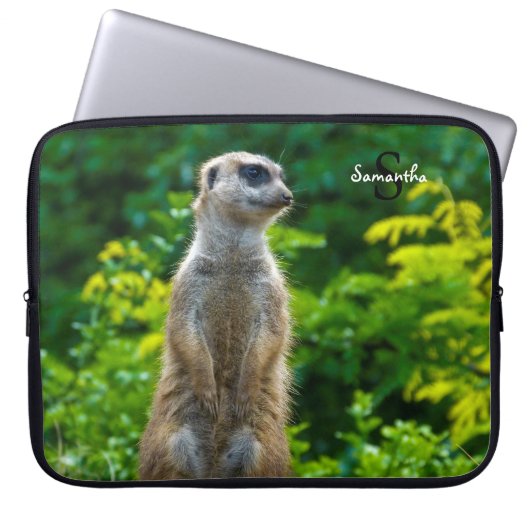 Meerkat Laptopschutzhülle (Vorderseite)