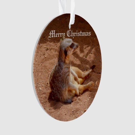 Meerkat Lazy Dayz Ornament (Vorderseite)