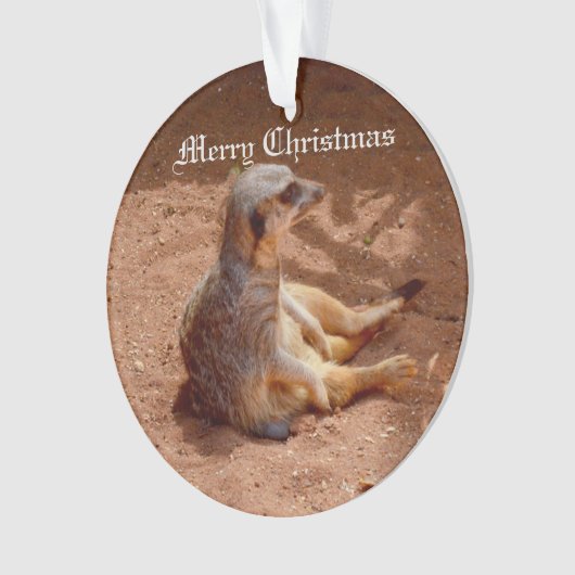 Meerkat Lazy Dayz Ornament (Vorderseite)