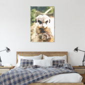 MEERKAT LEINWANDDRUCK (Insitu (Schlafzimmer))
