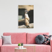 Meerkat Leinwanddruck (Insitu (Wohnzimmer))