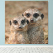 Meerkat Leinwanddruck (Insitu (Holzboden))