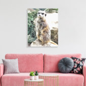 MEERKAT LEINWANDDRUCK (Insitu (Wohnzimmer))