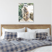 MEERKAT LEINWANDDRUCK (Insitu (Schlafzimmer))