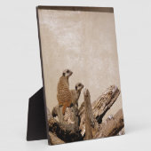 Meerkat Lookout Fotoplatte (Seite)
