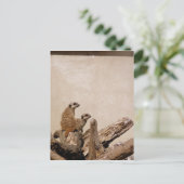 Meerkat Lookout Postkarte (Stehend Vorderseite)