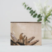 Meerkat Lookout Postkarte (Stehend Vorderseite)