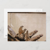 Meerkat Lookout Postkarte (Vorne/Hinten)