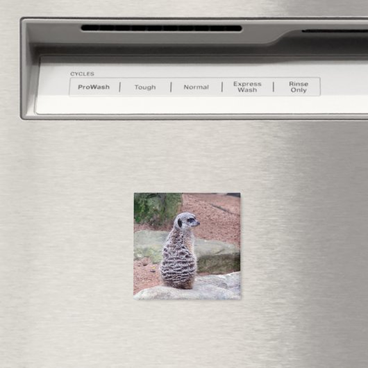 meerkat magnet (In Situ (Geschirrspüler))
