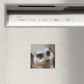 Meerkat Magnet (In Situ (Geschirrspüler))