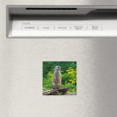 Meerkat Magnet (In Situ (Geschirrspüler))