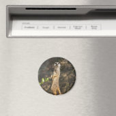 Meerkat Magnet (In Situ (Geschirrspüler))