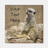 Meerkat Magnet (Vorne)