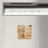 Meerkat Magnet (In Situ (Geschirrspüler))