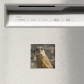 Meerkat Magnet (In Situ (Geschirrspüler))