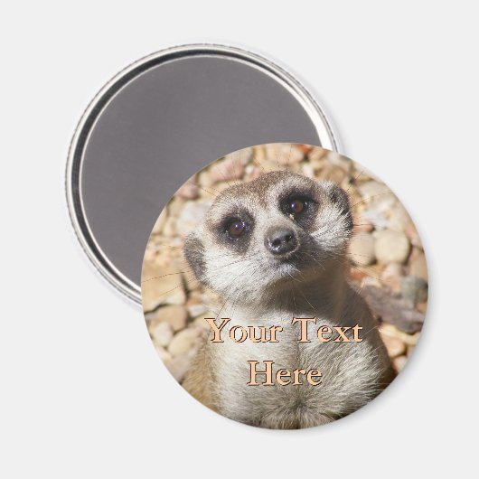 Meerkat Magnet (Vorderseite/Rückseite)