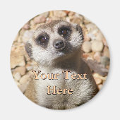 Meerkat Magnet (Vorne)