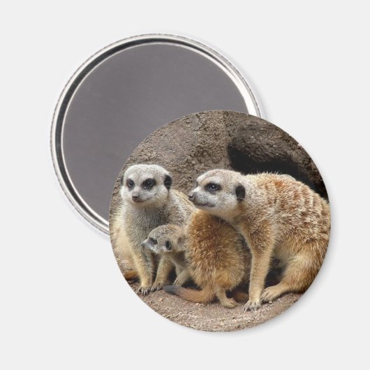 meerkat-Magnet Magnet (Vorderseite/Rückseite)