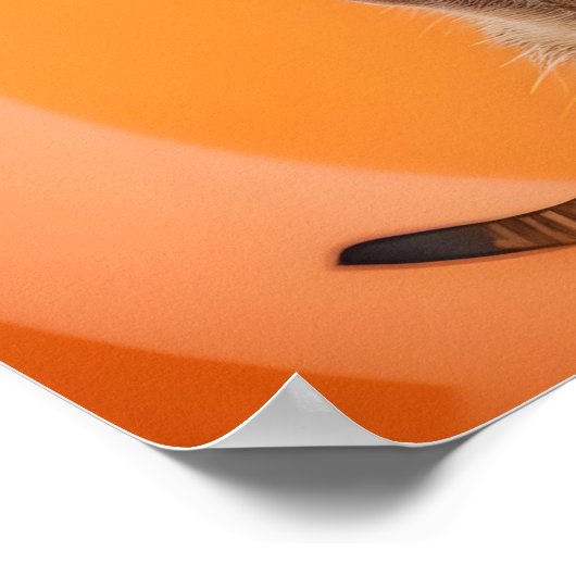 Meerkat Making Stopp Hand Geste Poster (Ecke)