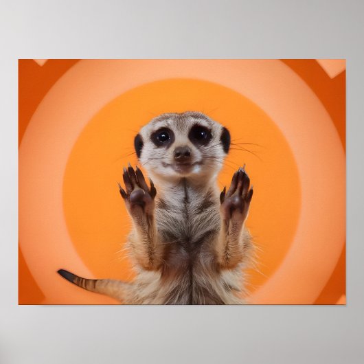 Meerkat Making Stopp Hand Geste Poster (Vorne)
