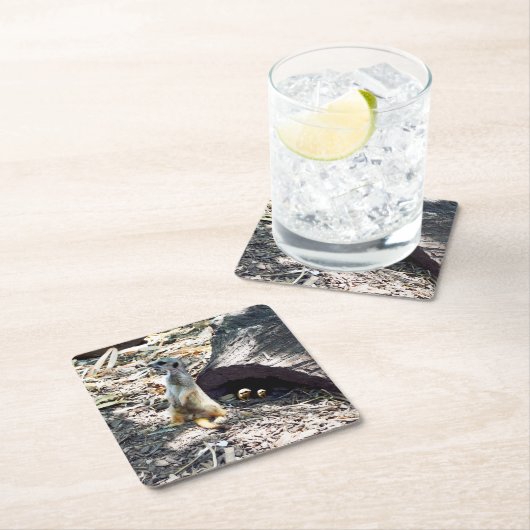 Meerkat Mama mit ihren Kindern, Papier-Party-Unter Rechteckiger Pappuntersetzer (Vor Ort)