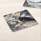 Meerkat Mama mit ihren Kindern, Papier-Party-Unter Rechteckiger Pappuntersetzer (angewinkelt)