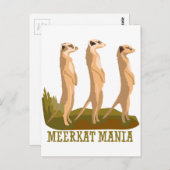 Meerkat Mania Postkarte (Vorne/Hinten)