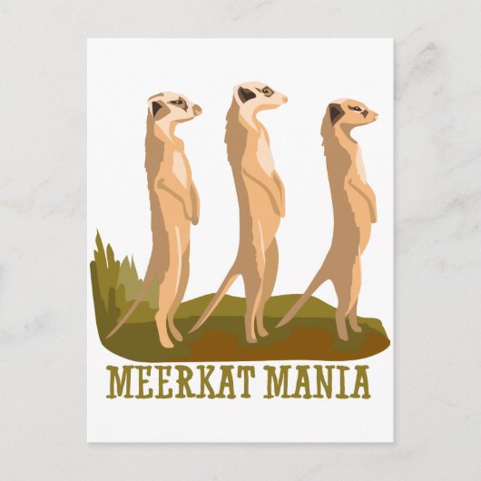 Meerkat Mania Postkarte (Vorderseite)
