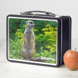 Meerkat Metal Lunchbox