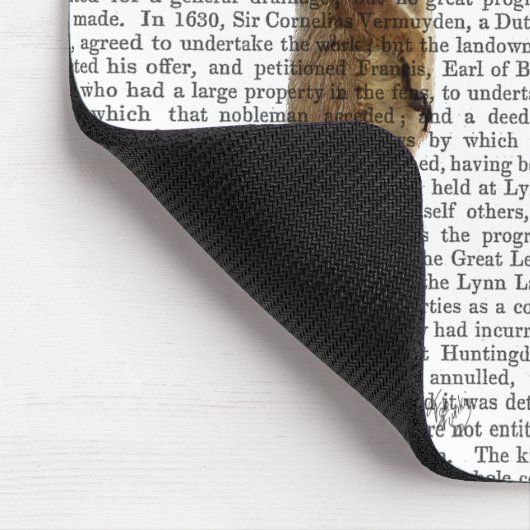 Meerkat mit Boom Box Ghetto Blaster 2 Mousepad (Ecke)