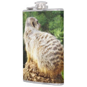 Meerkat mit hoher Aussicht, Flachmann (Links)
