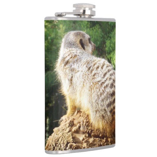 Meerkat mit hoher Aussicht, Flachmann (Rechts)
