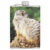 Meerkat mit hoher Aussicht, Flachmann (Vorderseite)