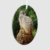 Meerkat mit hoher Aussicht, Ornament (Vorderseite)
