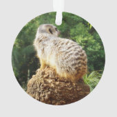 Meerkat mit hoher Aussicht, Ornament (Rückseite)