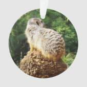 Meerkat mit hoher Aussicht, Ornament (Vorderseite)